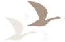 The Base Logo