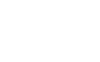The Old Frizzle Logo