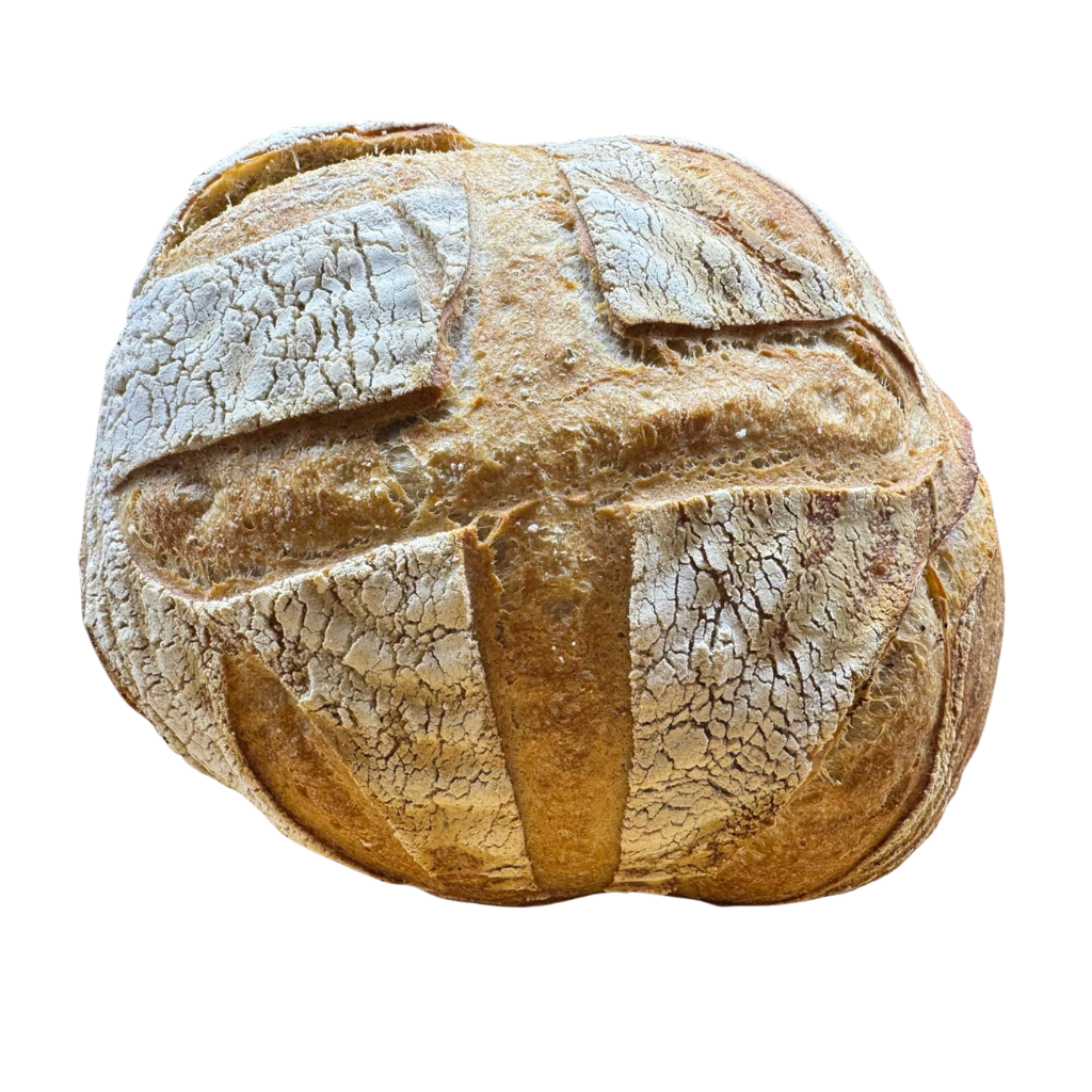 Eataly | OTTO TONDO SOURDOUGH BREAD 1K - EATALY - Order Online | Shop  Online - Collect in Store